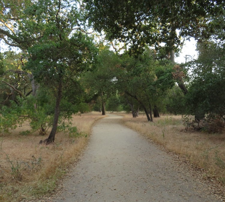 guadalupe-oak-grove-park-photo